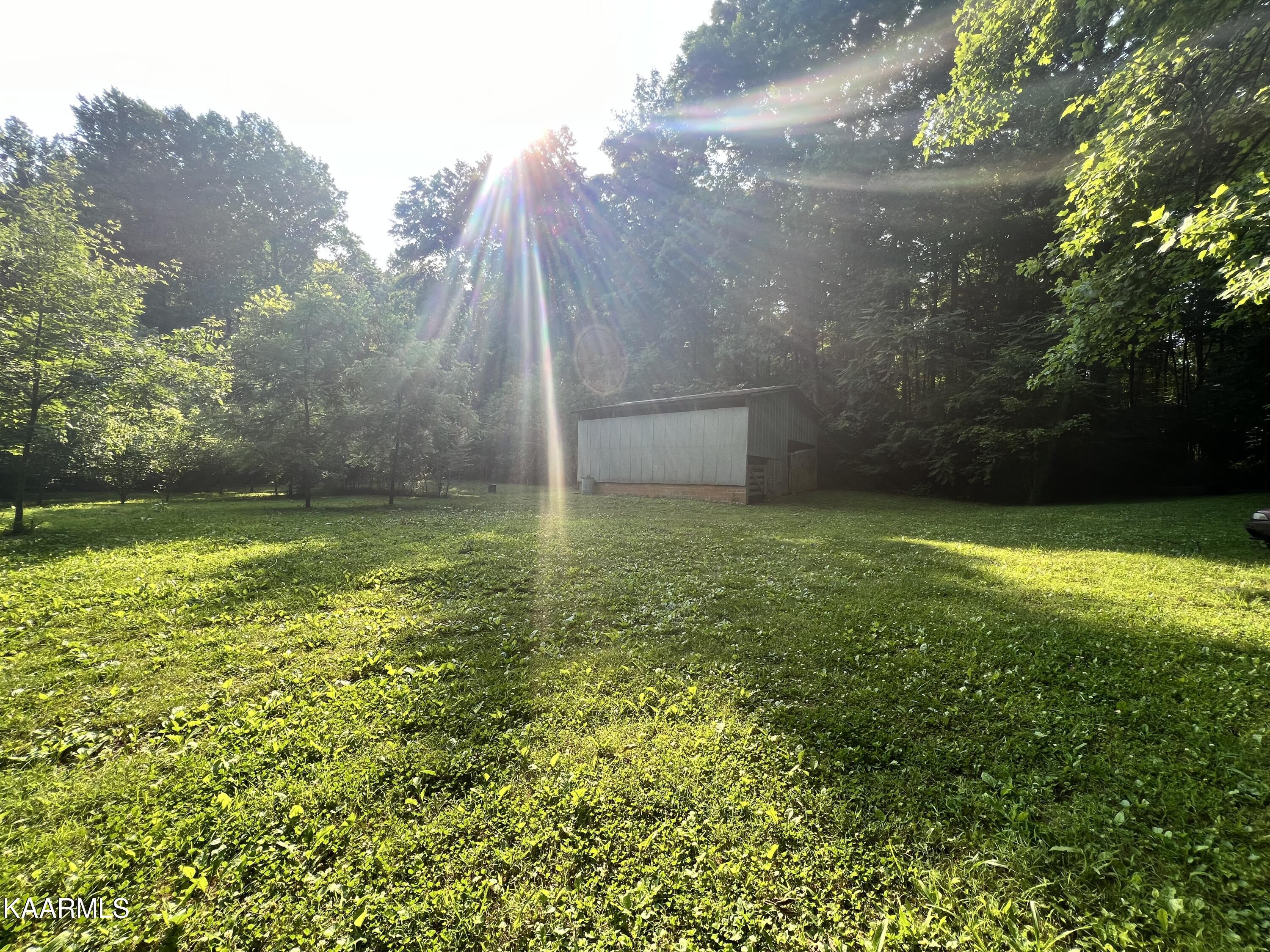2240 Pleasant Ridge Road Talbott, TN 37877 - Photo 2 of 16 Barn