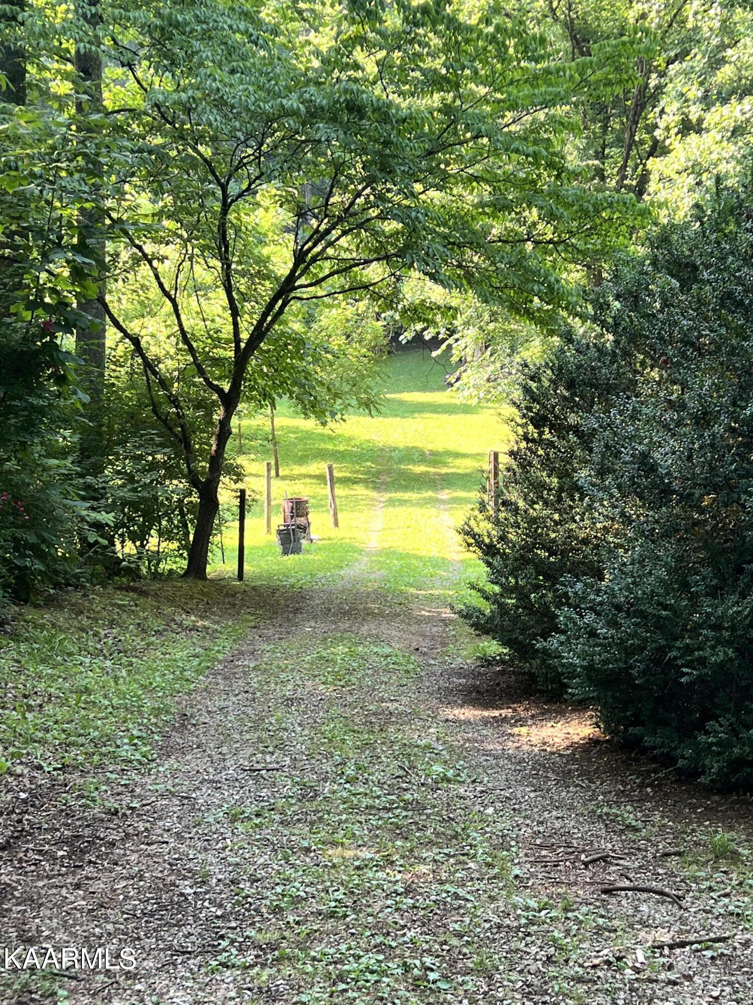 2240 Pleasant Ridge Road Talbott, TN 37877 - Photo 3 of 16 Path to barn