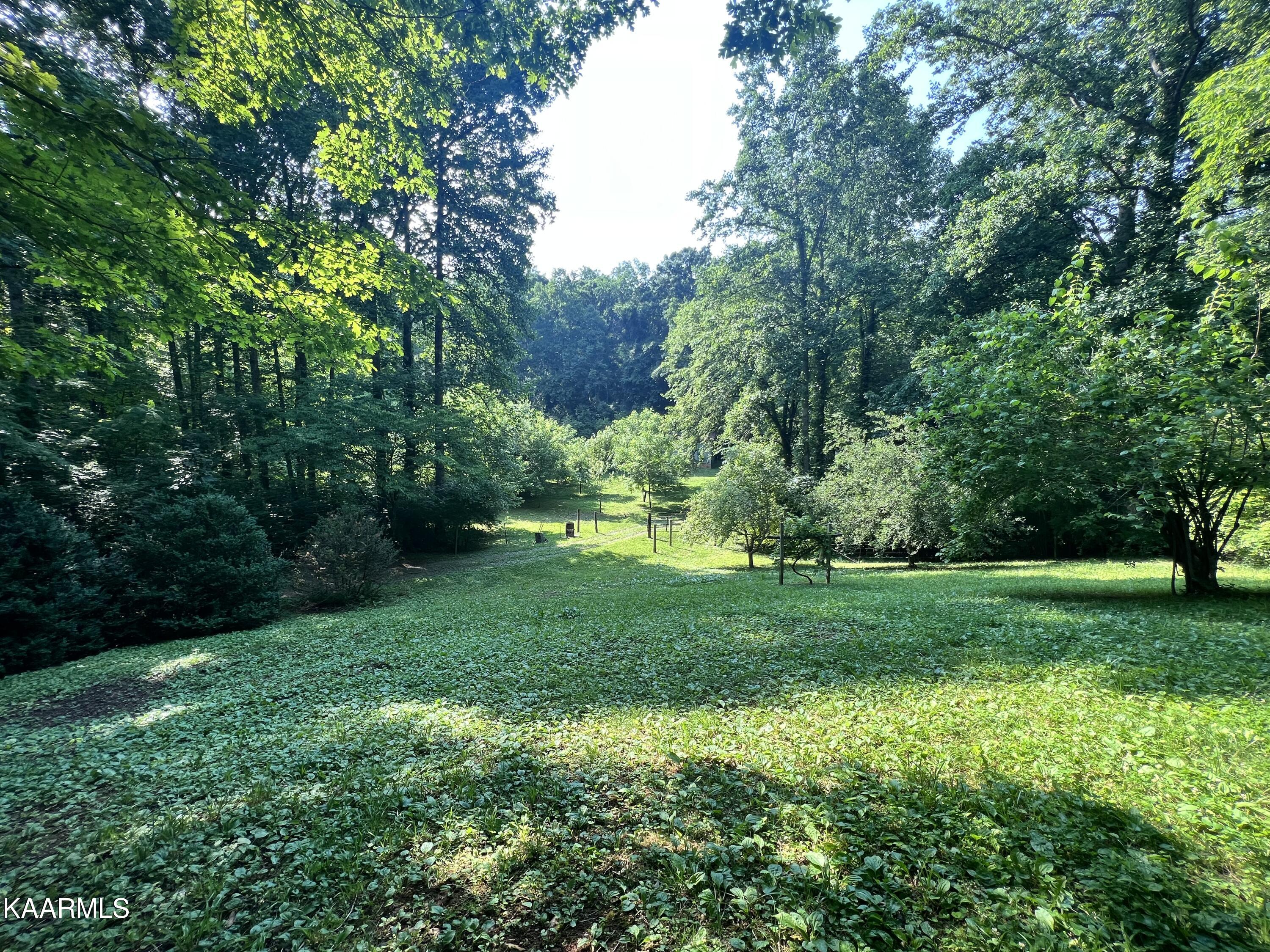 2240 Pleasant Ridge Road Talbott, TN 37877 - Photo 4 of 16 yard