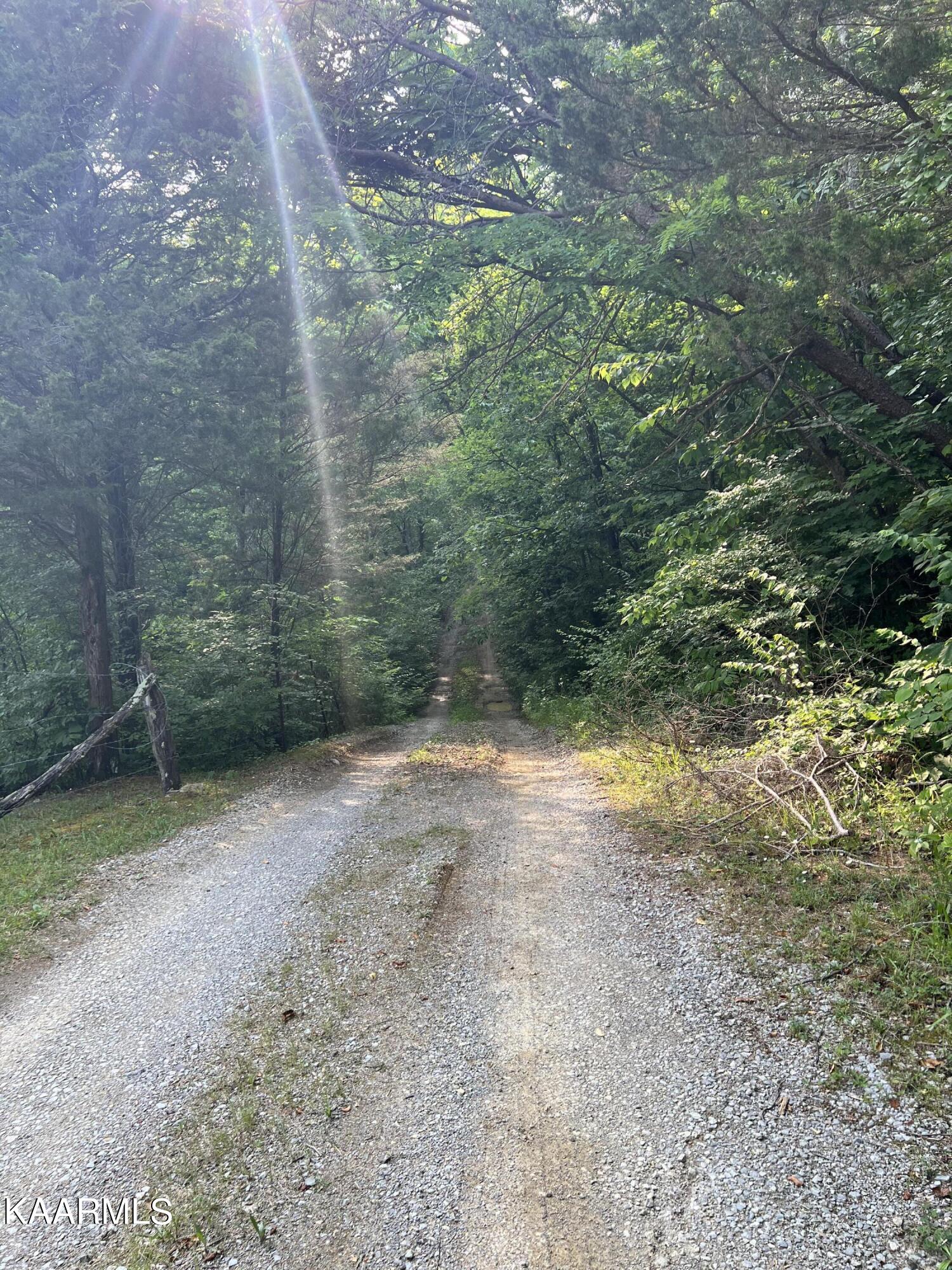 2240 Pleasant Ridge Road Talbott, TN 37877 - Photo 5 of 16 driveway