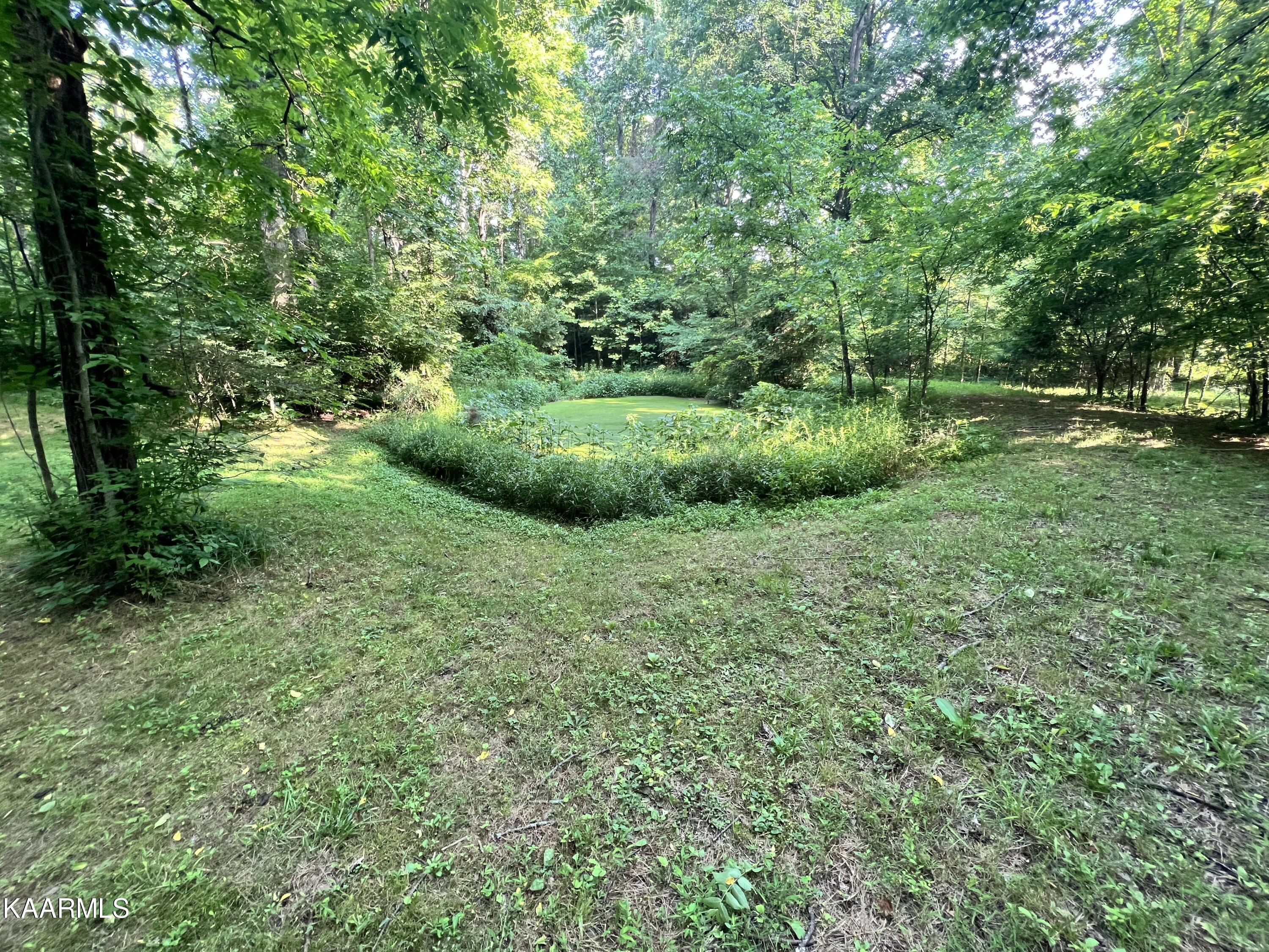 2240 Pleasant Ridge Road Talbott, TN 37877 - Photo 6 of 16 pond