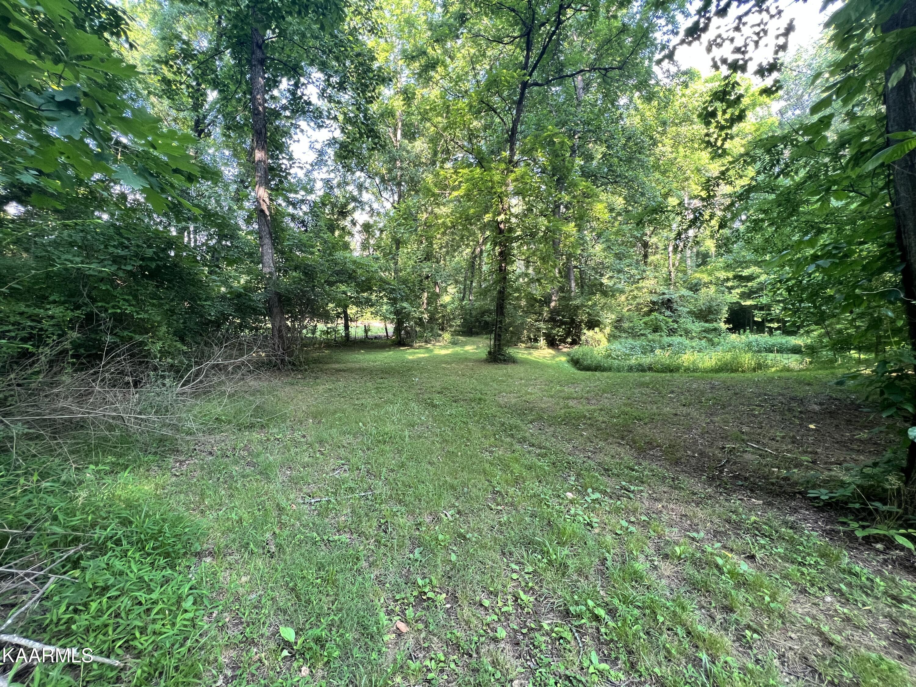 2240 Pleasant Ridge Road Talbott, TN 37877 - Photo 8 of 16 pond