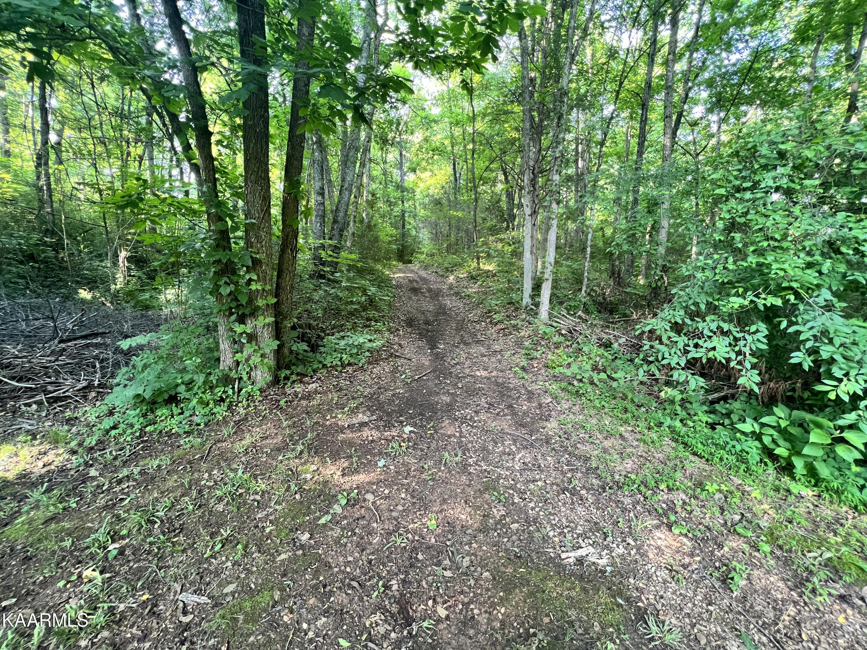 2240 Pleasant Ridge Road Talbott, TN 37877 - Photo 10 of 16 Trail