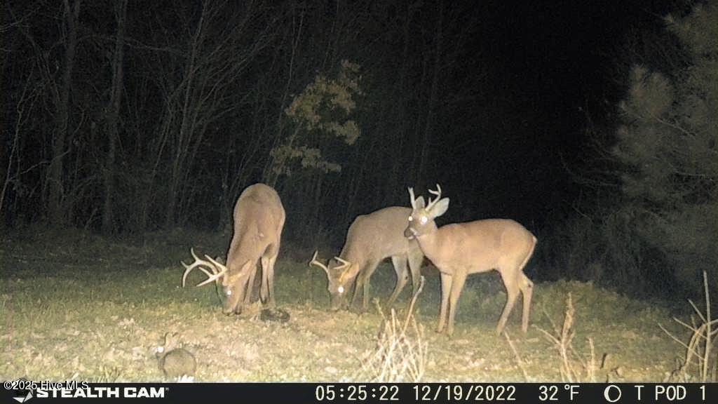 340 Kennedy Road Eagle Springs, NC 27242 - Photo 11 of 12 1671472436619