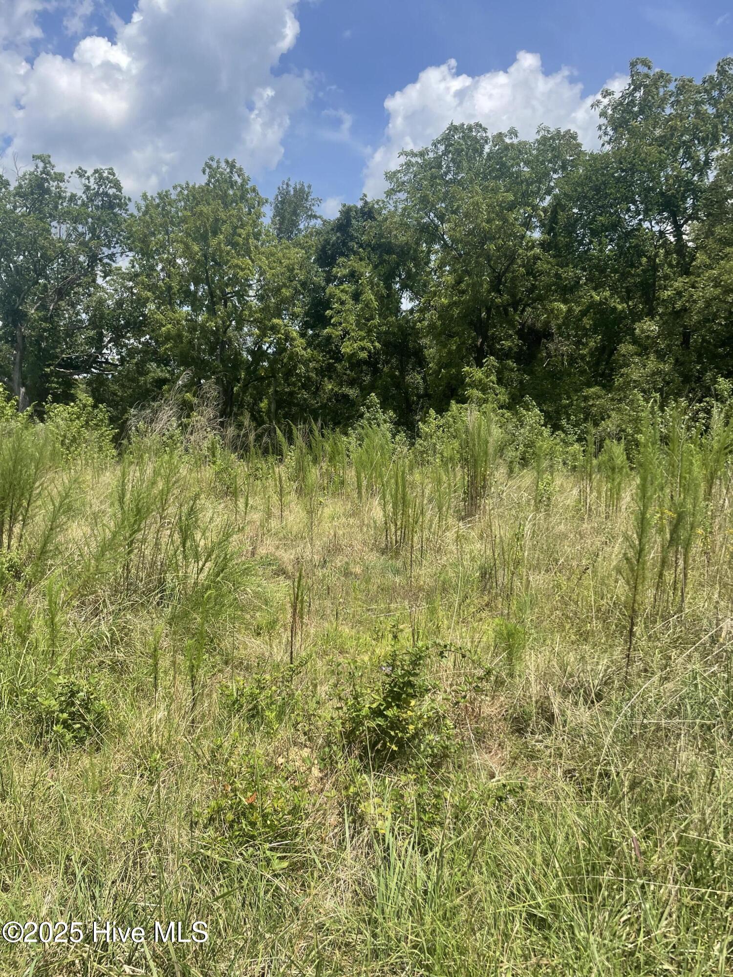 340 Kennedy Road Eagle Springs, NC 27242 - Photo 4 of 12 IMG_9753