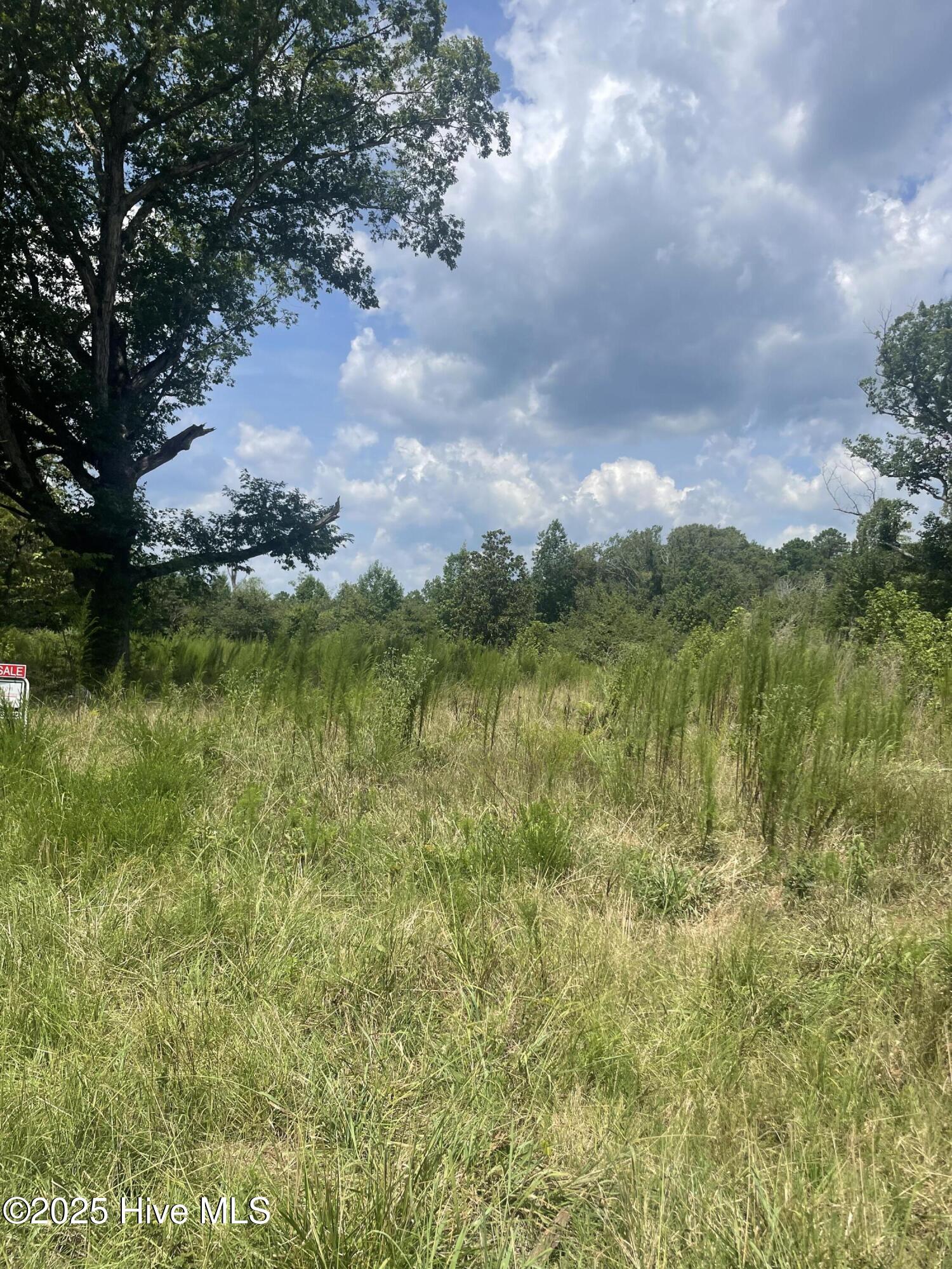 340 Kennedy Road Eagle Springs, NC 27242 - Photo 5 of 12 IMG_9752