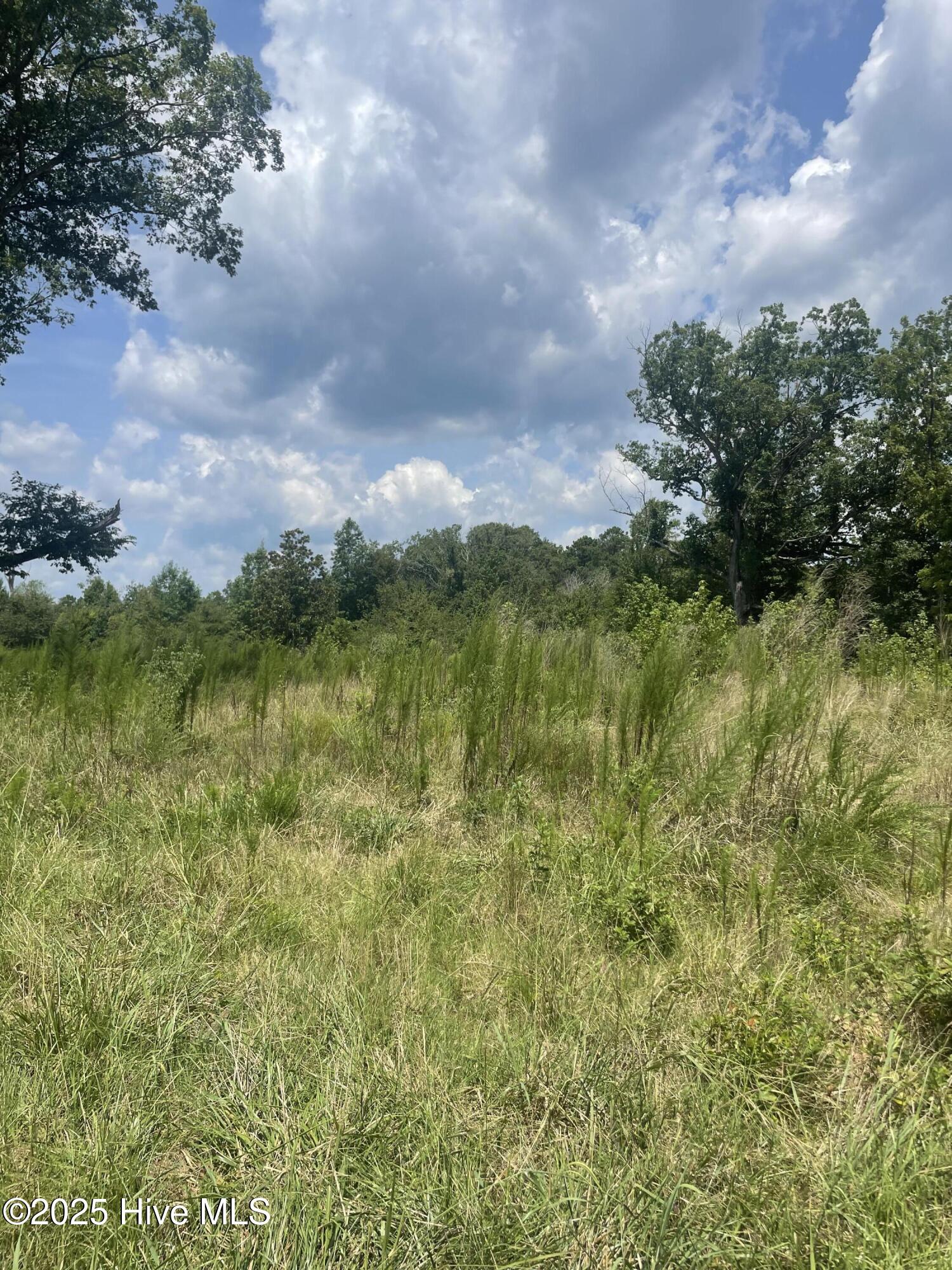 340 Kennedy Road Eagle Springs, NC 27242 - Photo 6 of 12 IMG_9749