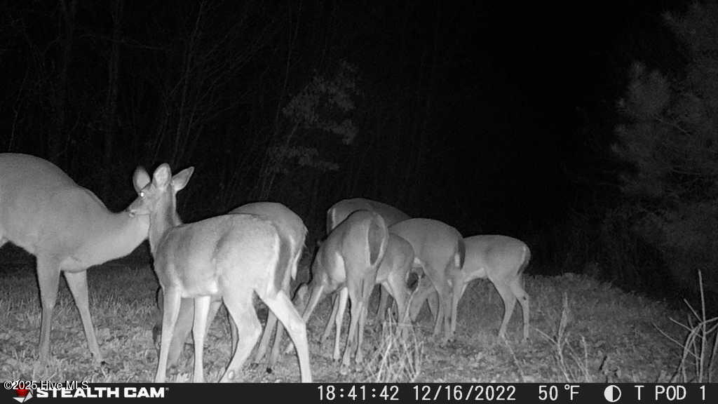 340 Kennedy Road Eagle Springs, NC 27242 - Photo 9 of 12 1671305978386