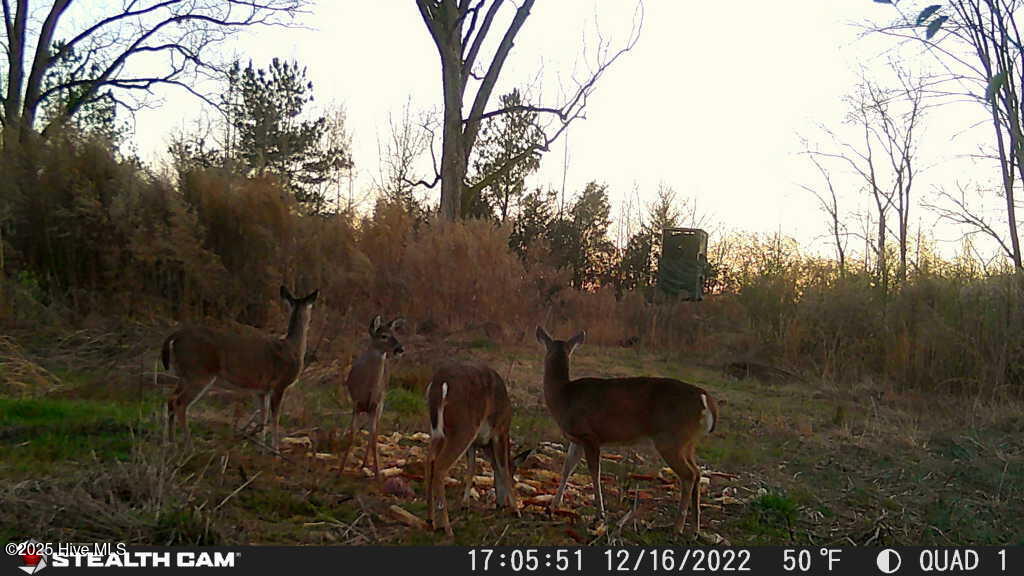 340 Kennedy Road Eagle Springs, NC 27242 - Photo 10 of 12 1671305796065