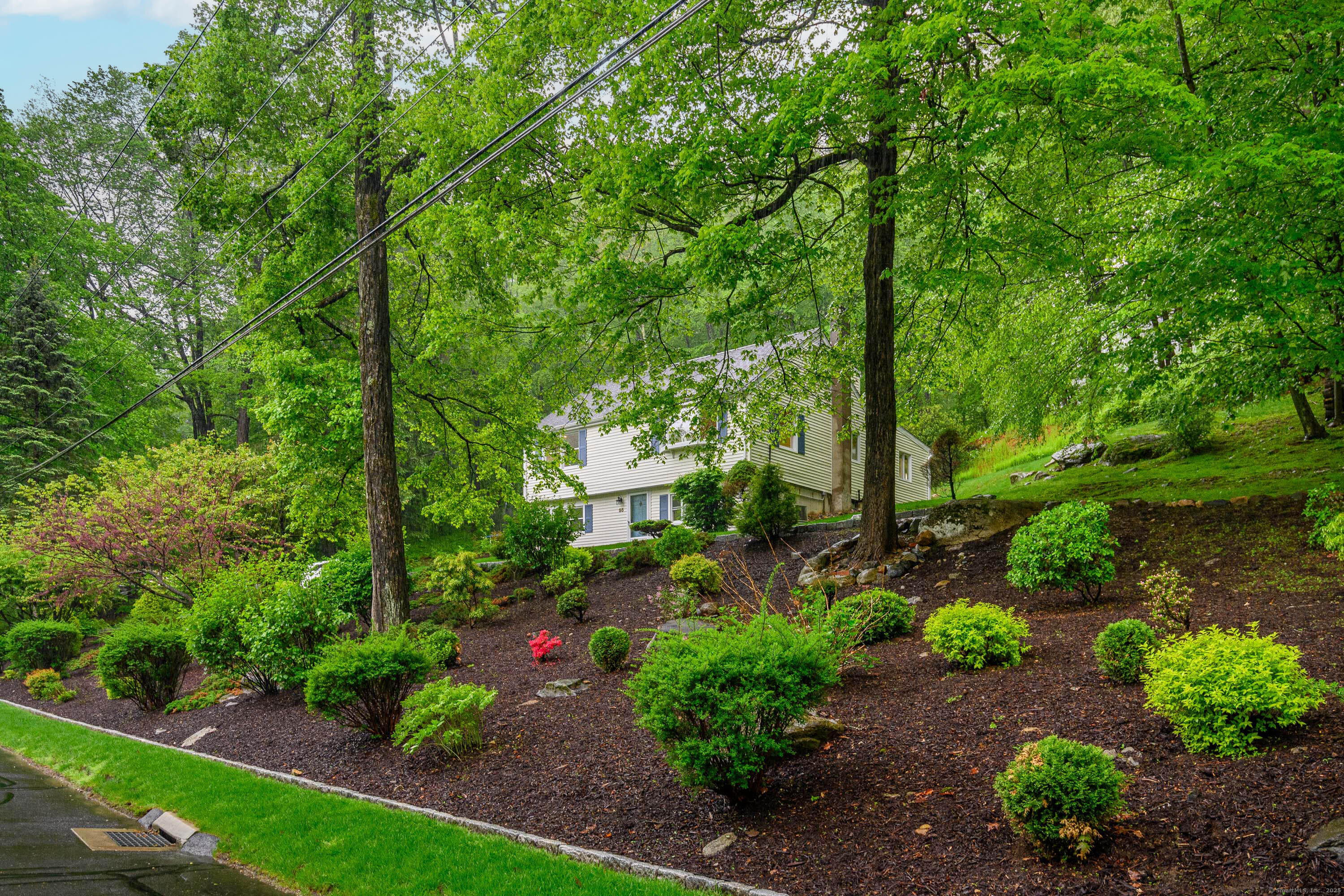 55 Old Sib Road Ridgefield, CT 06877 - Photo 1 of 1 a view of a garden with plants and large trees
