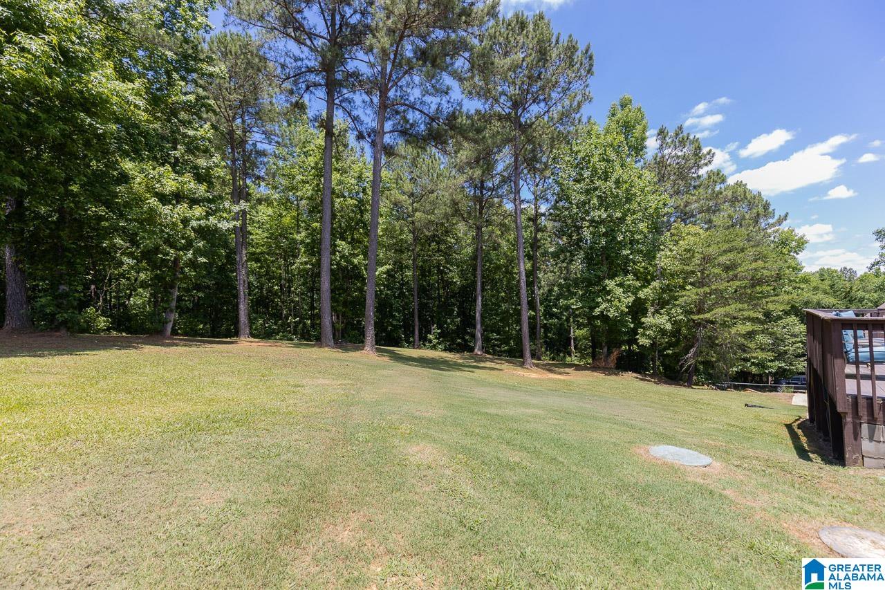 1019 Lake View Lane Calera, AL 35040 - Photo 35 of 35