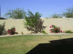3952 East Timberline Road Gilbert, AZ 85297 - Photo 5 of 6 a view of a lake with a big yard