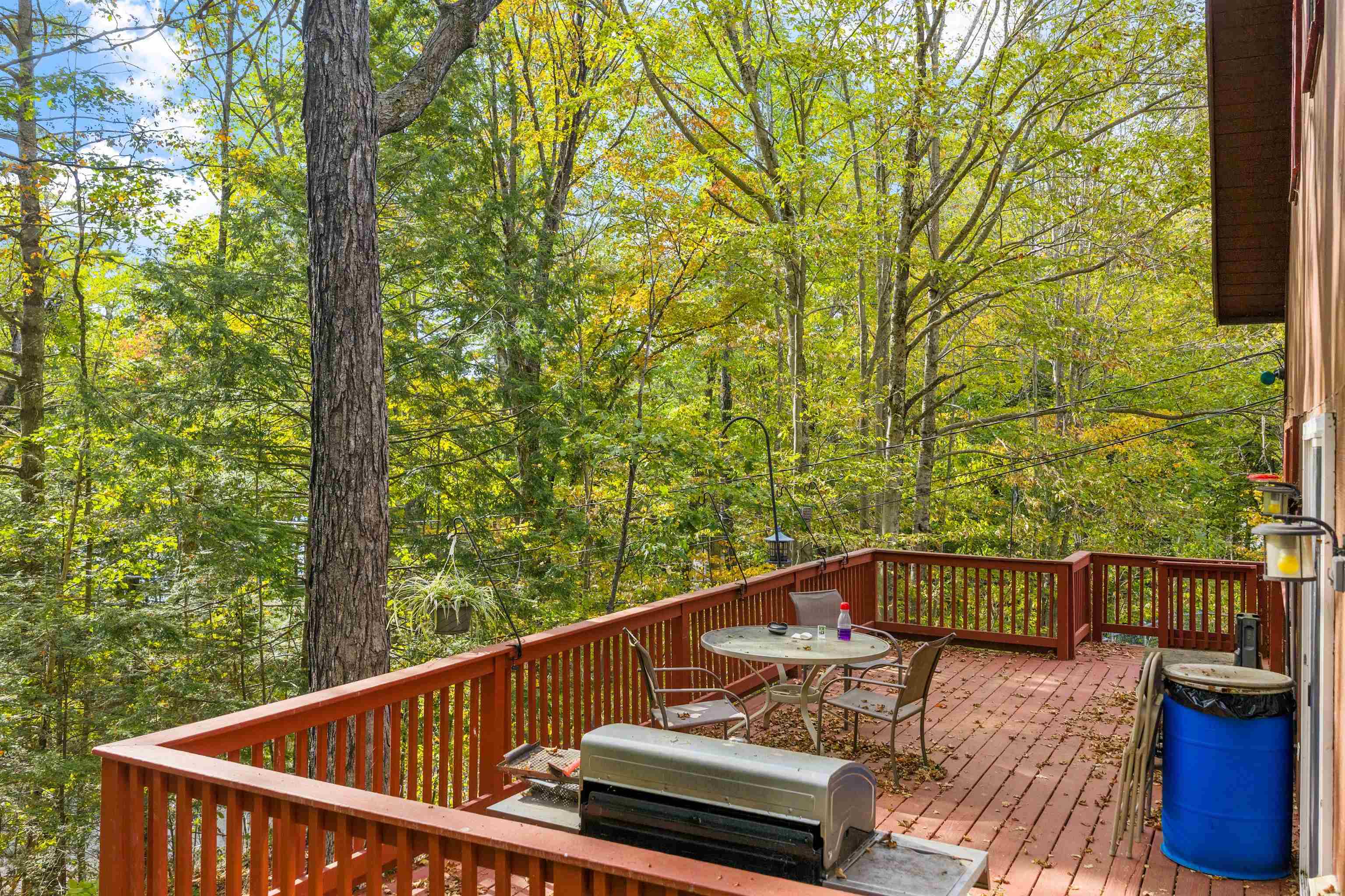 309 Waukeena Lake Road Danbury, NH 03230 - Photo 10 of 55