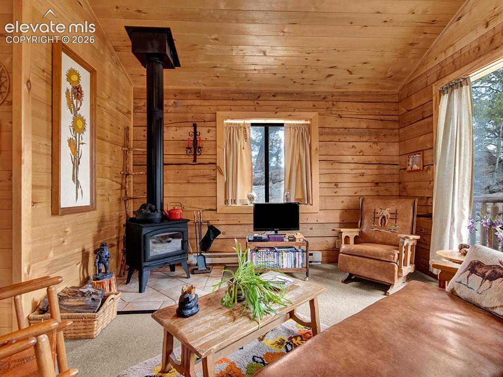1462 Pulver Road Lake George, CO 80827 - Photo 7 of 25 a living room with furniture a flat screen tv and a floor to ceiling window