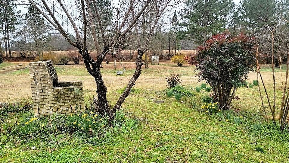 736 Willcutt Road Berry, AL 35546 - Photo 10 of 42 Gallery Image 10