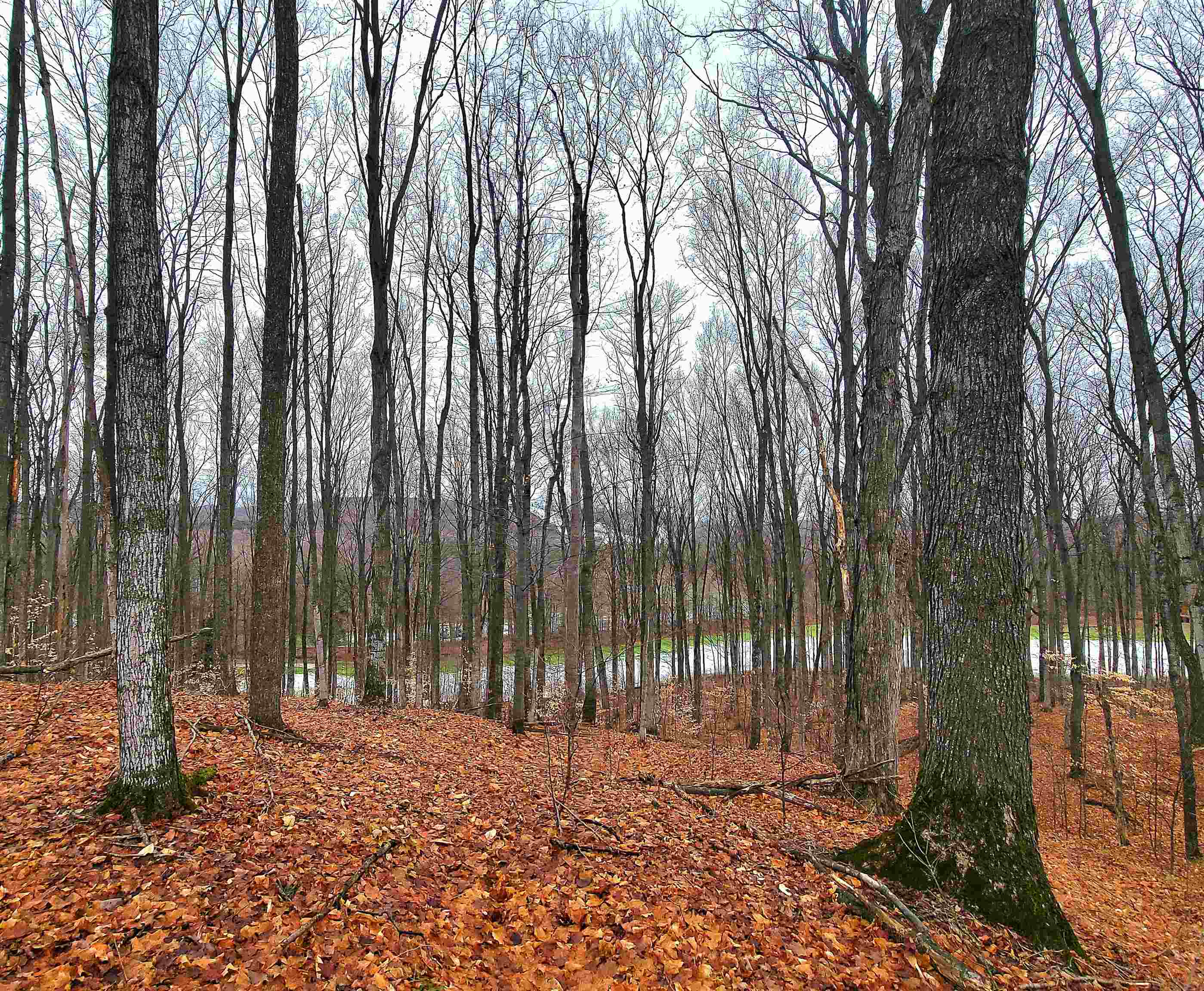 17 Rue De Montagne Road Mancelona, MI 49659 - Photo 4 of 5