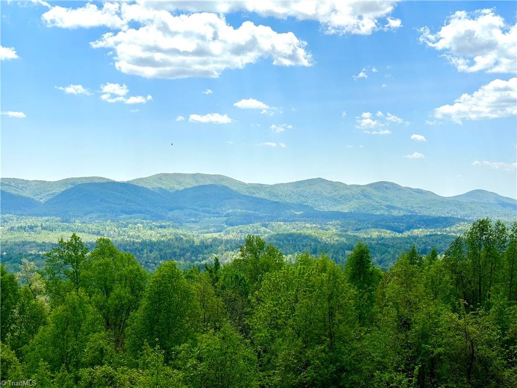 79 Ridge Run Road Boomer, NC 28606 - Photo 1 of 21 Gallery Image 1