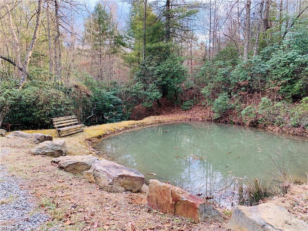 79 Ridge Run Road Boomer, NC 28606 - Photo 16 of 21 Gallery Image 16