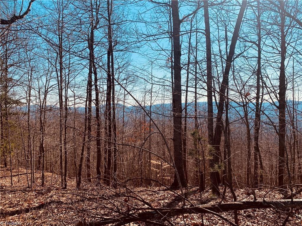 79 Ridge Run Road Boomer, NC 28606 - Photo 19 of 21 Gallery Image 19