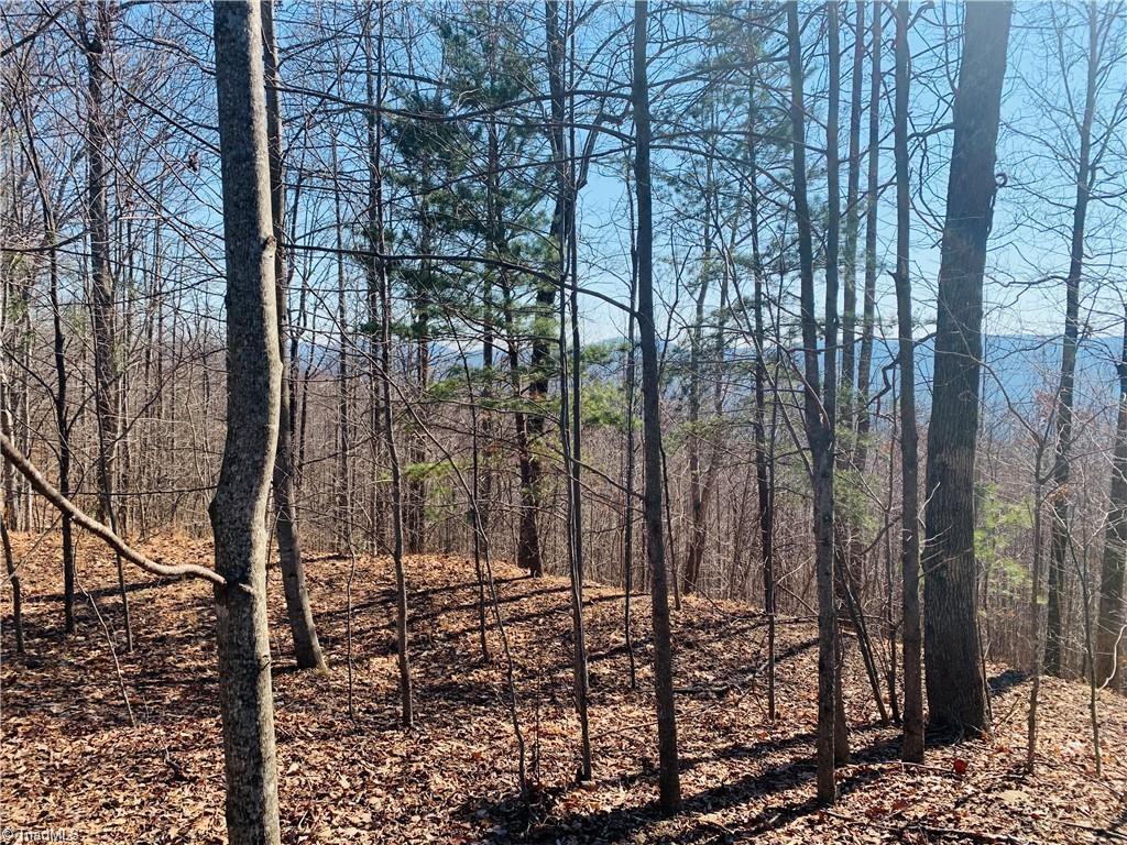 79 Ridge Run Road Boomer, NC 28606 - Photo 21 of 21 Gallery Image 21