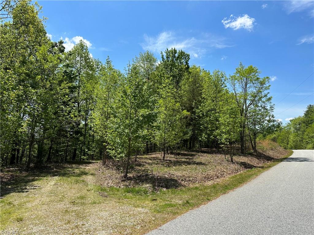 79 Ridge Run Road Boomer, NC 28606 - Photo 4 of 21 Gallery Image 4