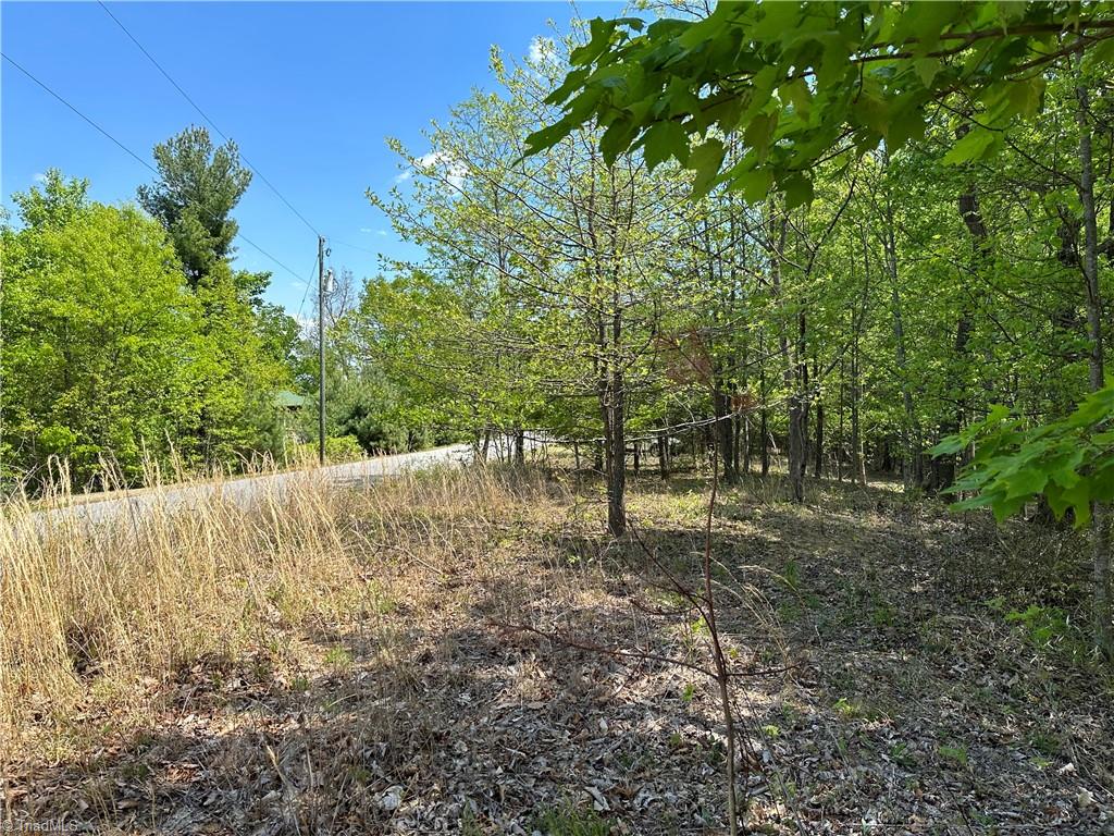 79 Ridge Run Road Boomer, NC 28606 - Photo 8 of 21 Gallery Image 8