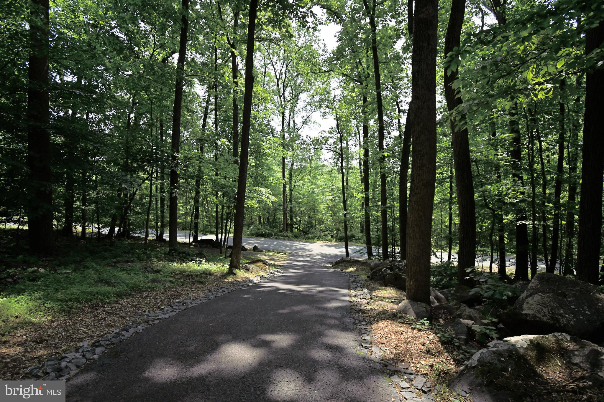 2415 Schaffer Road Pottstown, PA 19464 - Photo 3 of 93 a view of outdoor space with lots of trees