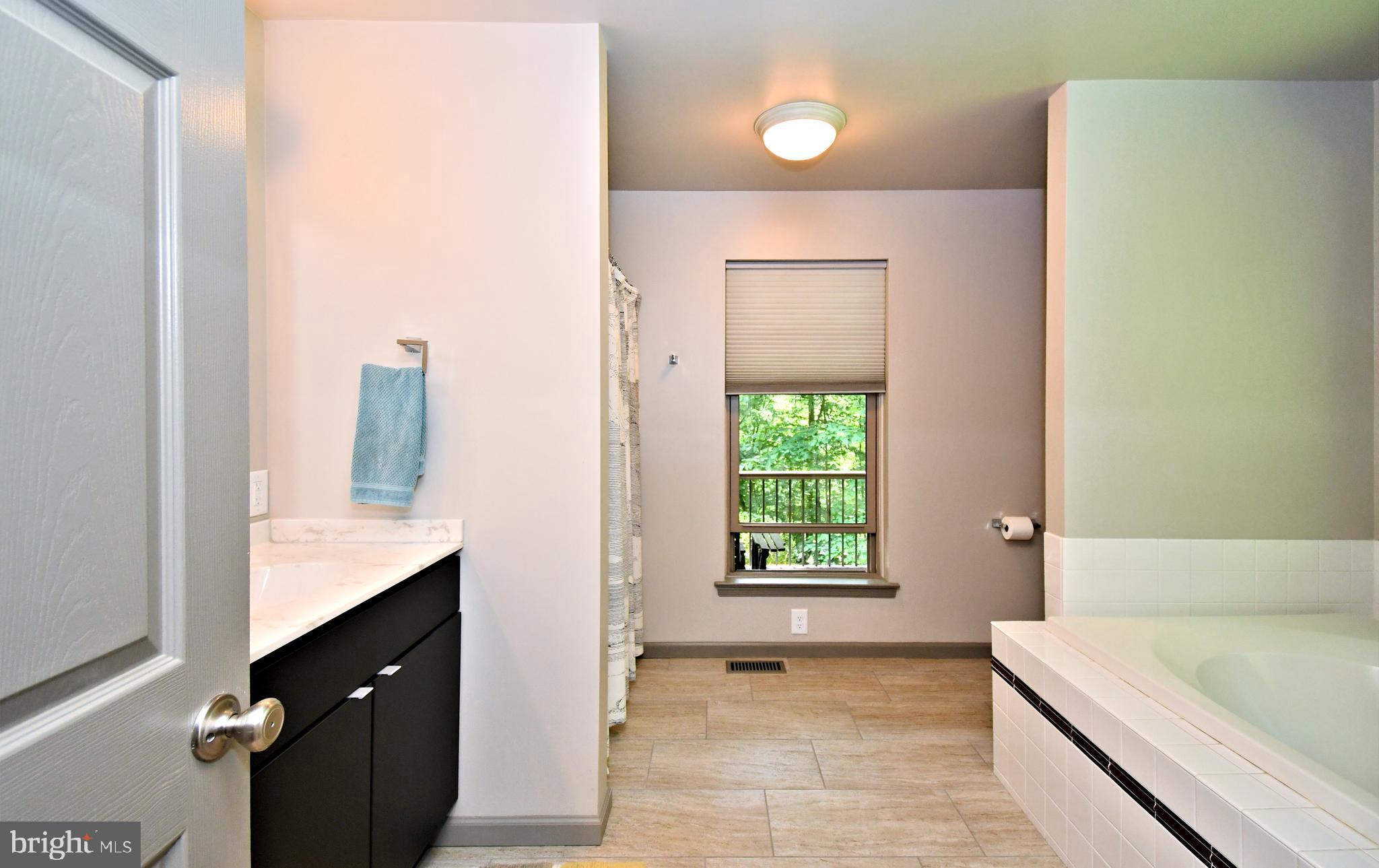 2415 Schaffer Road Pottstown, PA 19464 - Photo 35 of 93 a bathroom with a sink a vanity and a bathtub