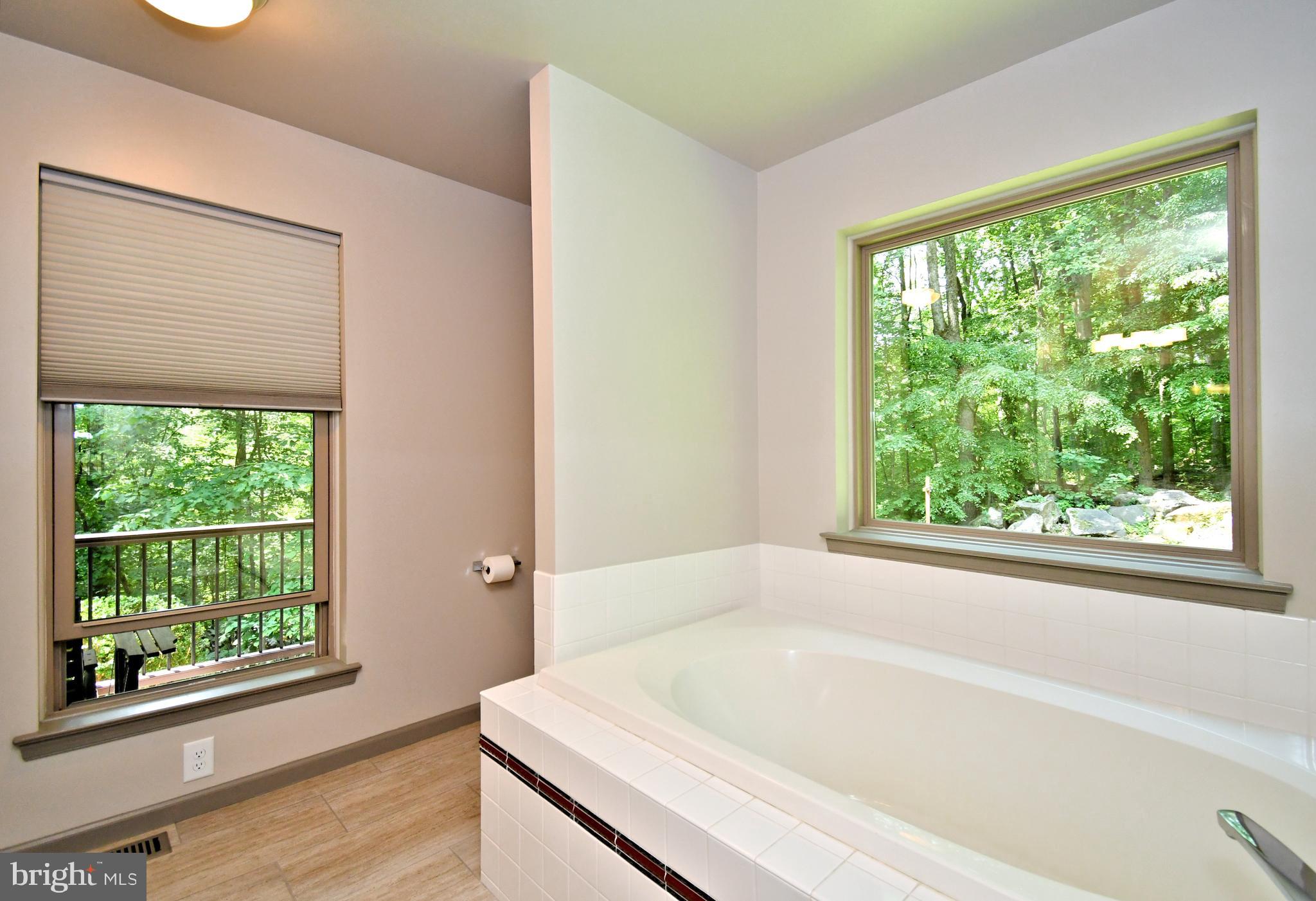 2415 Schaffer Road Pottstown, PA 19464 - Photo 36 of 93 a bathroom with a bathtub and window