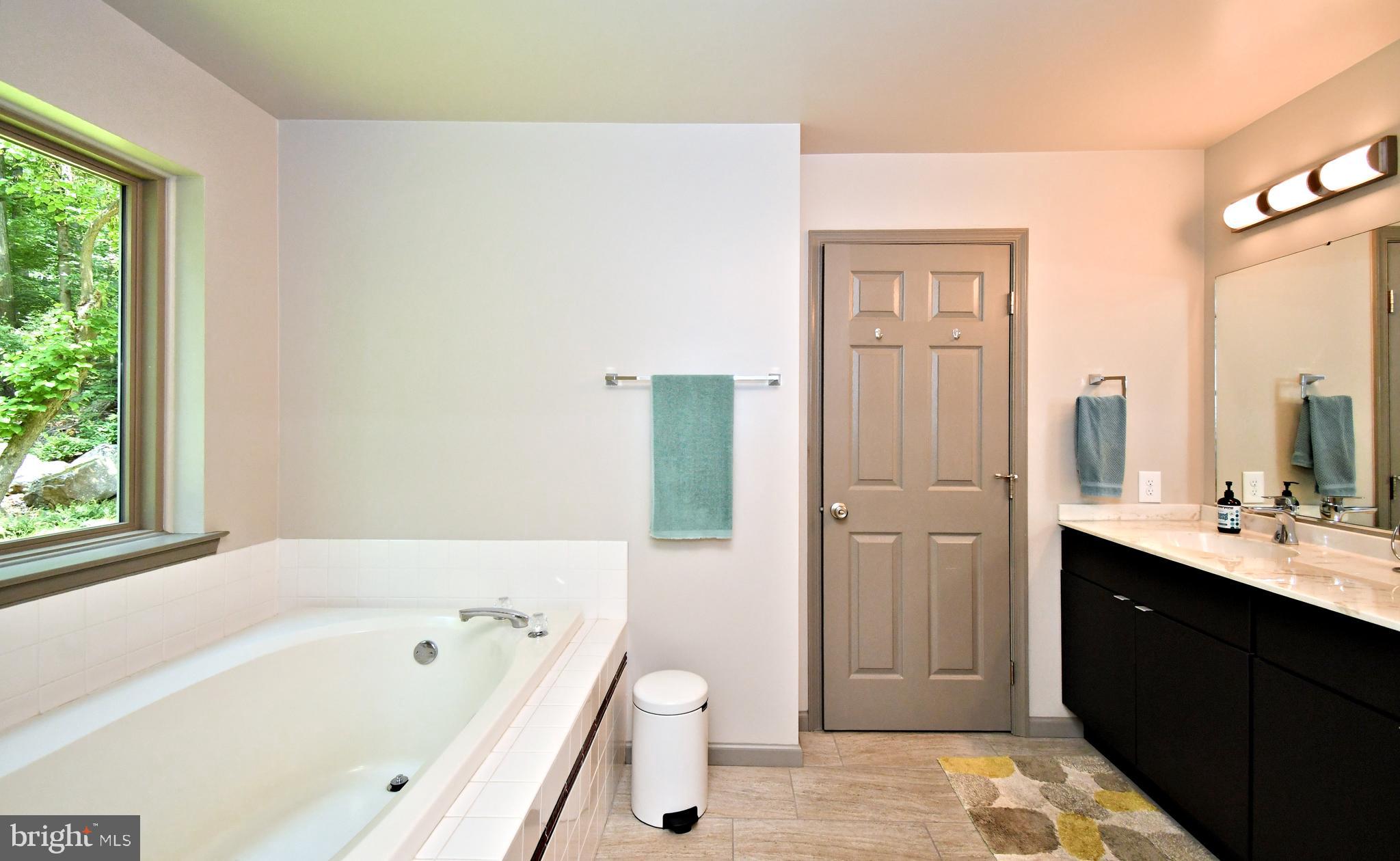 2415 Schaffer Road Pottstown, PA 19464 - Photo 37 of 93 a bathroom with a tub a sink and a large mirror