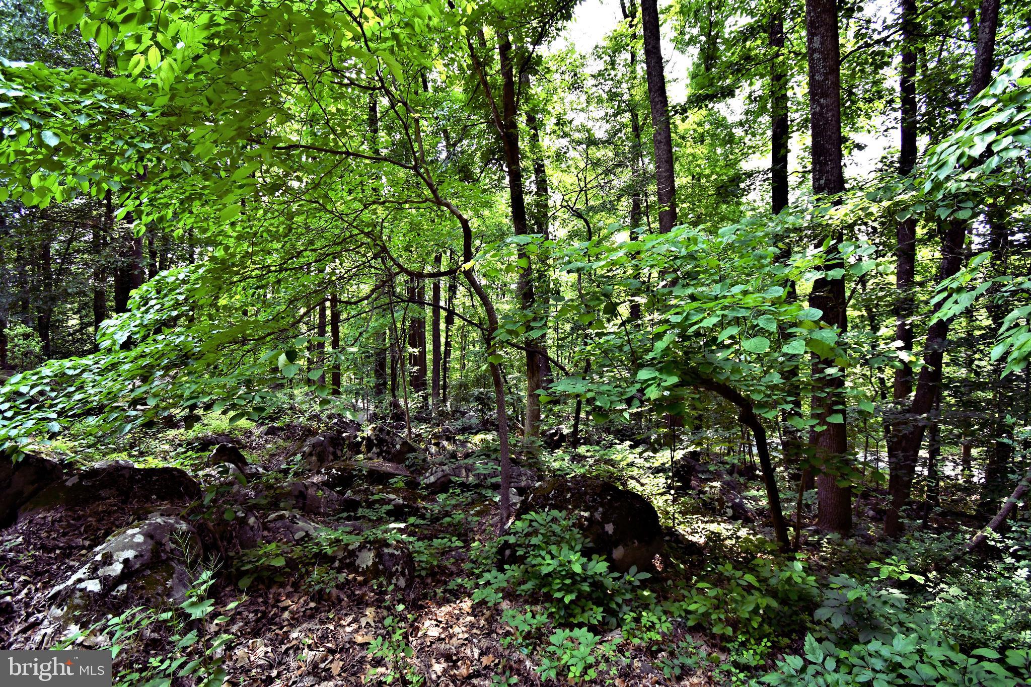 2415 Schaffer Road Pottstown, PA 19464 - Photo 84 of 93