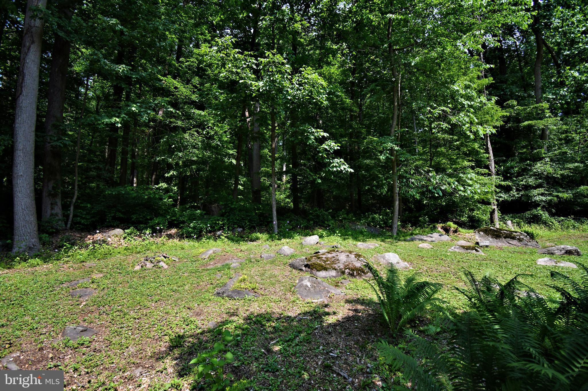 2415 Schaffer Road Pottstown, PA 19464 - Photo 85 of 93 a backyard of a house with a yard and tree