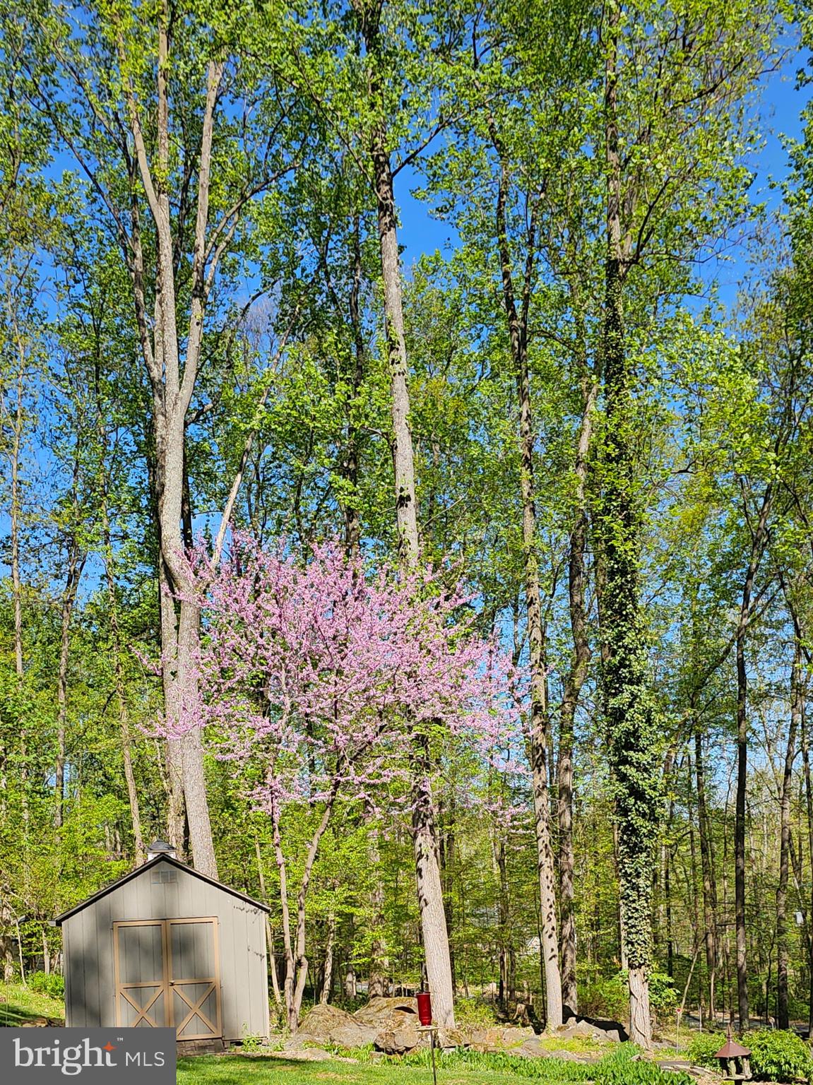 2415 Schaffer Road Pottstown, PA 19464 - Photo 91 of 93