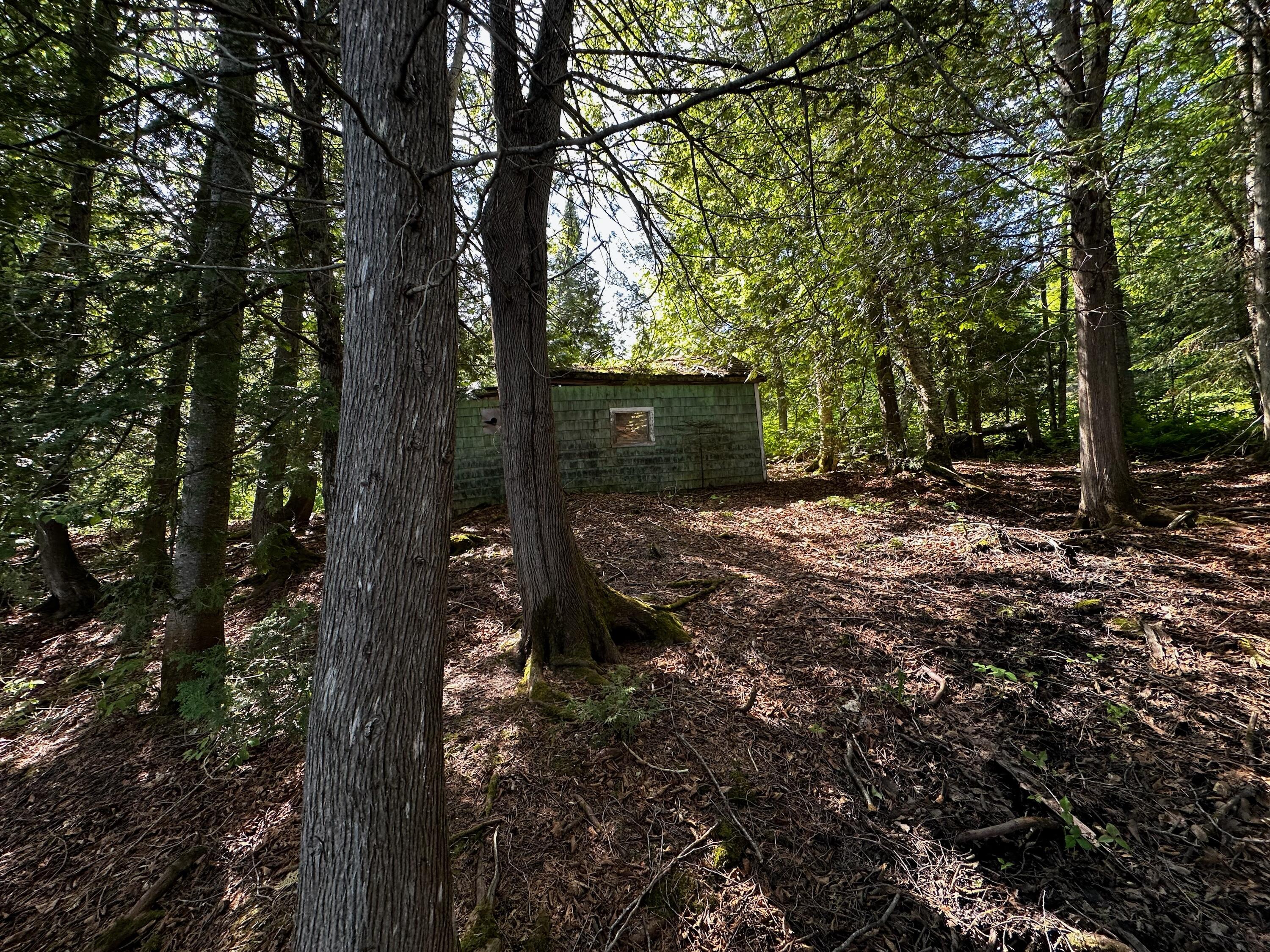 1288 South Perley Brook Road Fort Kent, ME 04743 - Photo 5 of 8 IMG_8307