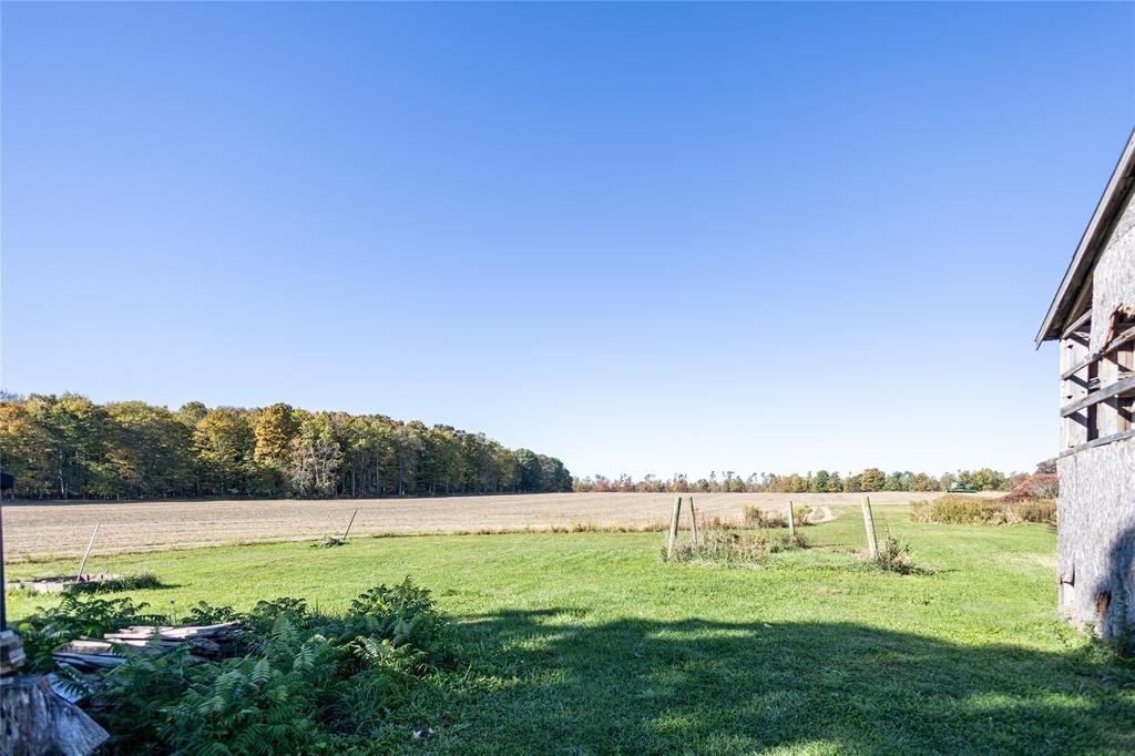 17263 Airport Road Linesville, PA 16424 - Photo 3 of 50 a view of a green field