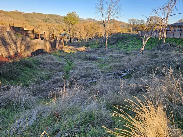 a view of a backyard with green space