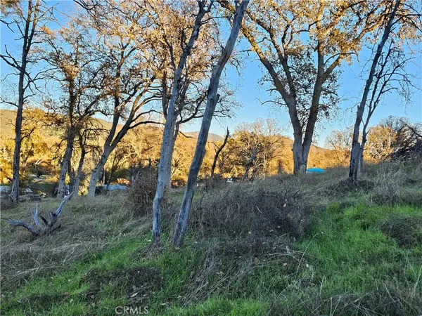 a view of mountain view with lots of trees