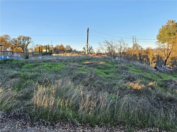 a view of a city with lush green forest