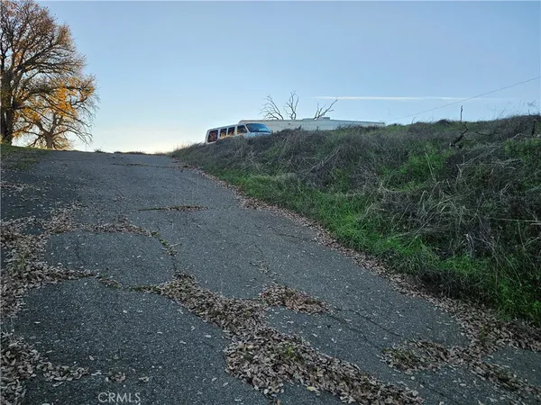 a view of a dry yard with trees in the background