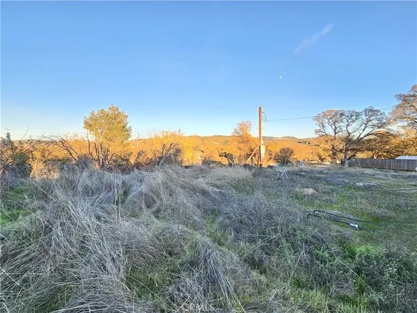 a view of a field with an ocean