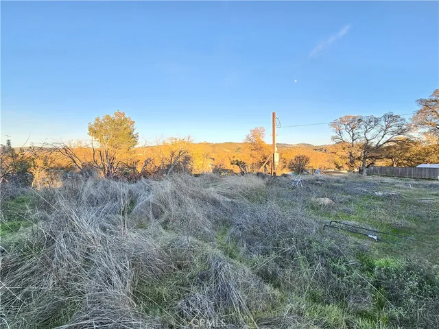 a view of a field with an ocean