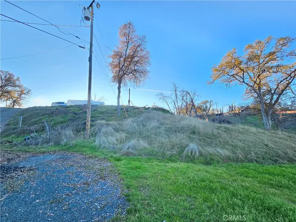 a view of a dry yard with trees