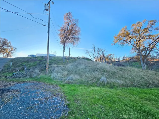 a view of a dry yard with trees