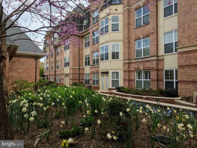 a view of a building with many windows