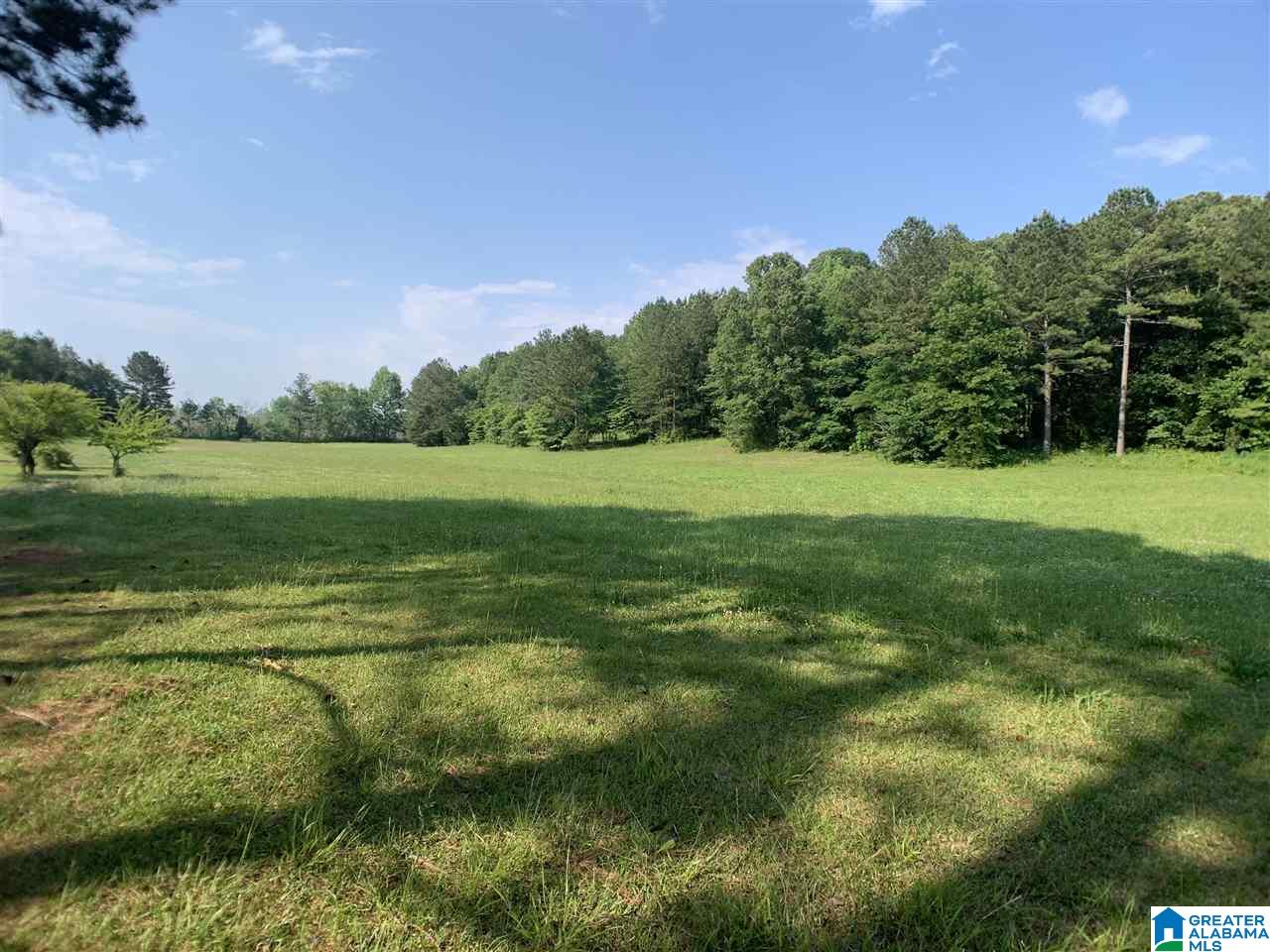 277 Gnatville Road Piedmont, AL 36272 - Photo 5 of 50