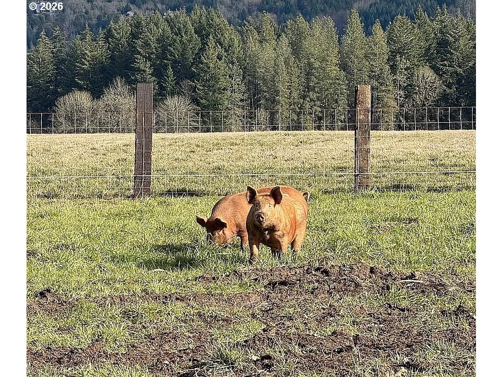 23625 South Highway 99W Amity, OR 97101 - Photo 27 of 34