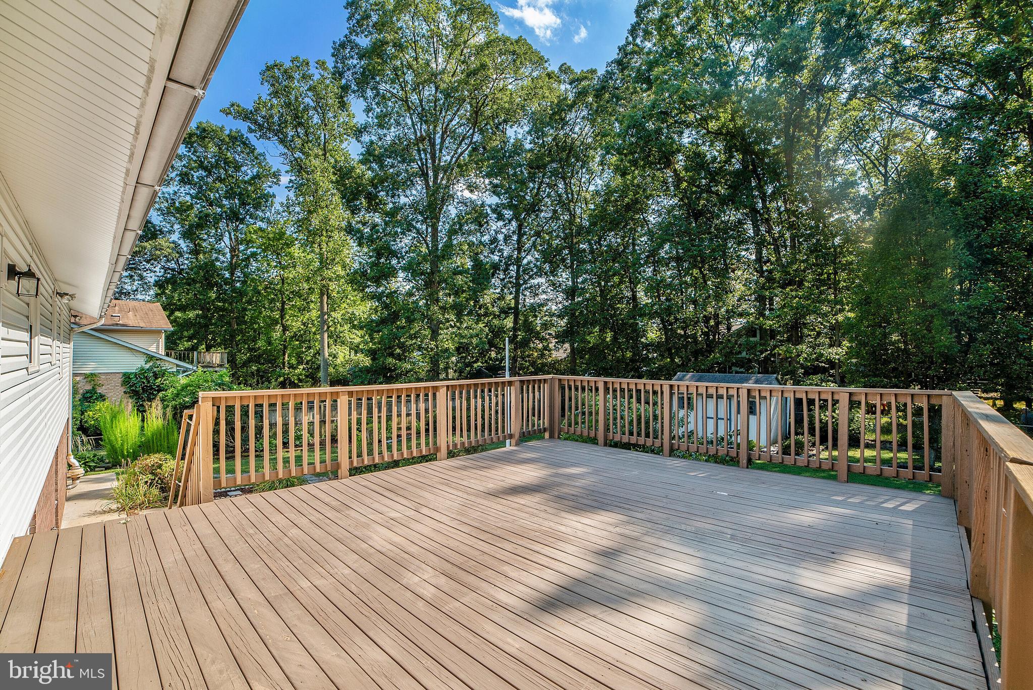 6008 Roxbury Avenue Springfield, VA 22152 - Photo 25 of 35