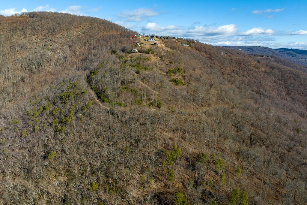 Lot 93 Reflections Point Trail, Unit 93 Fancy Gap, VA 24328 - Photo 30 of 92 Gallery Image 30