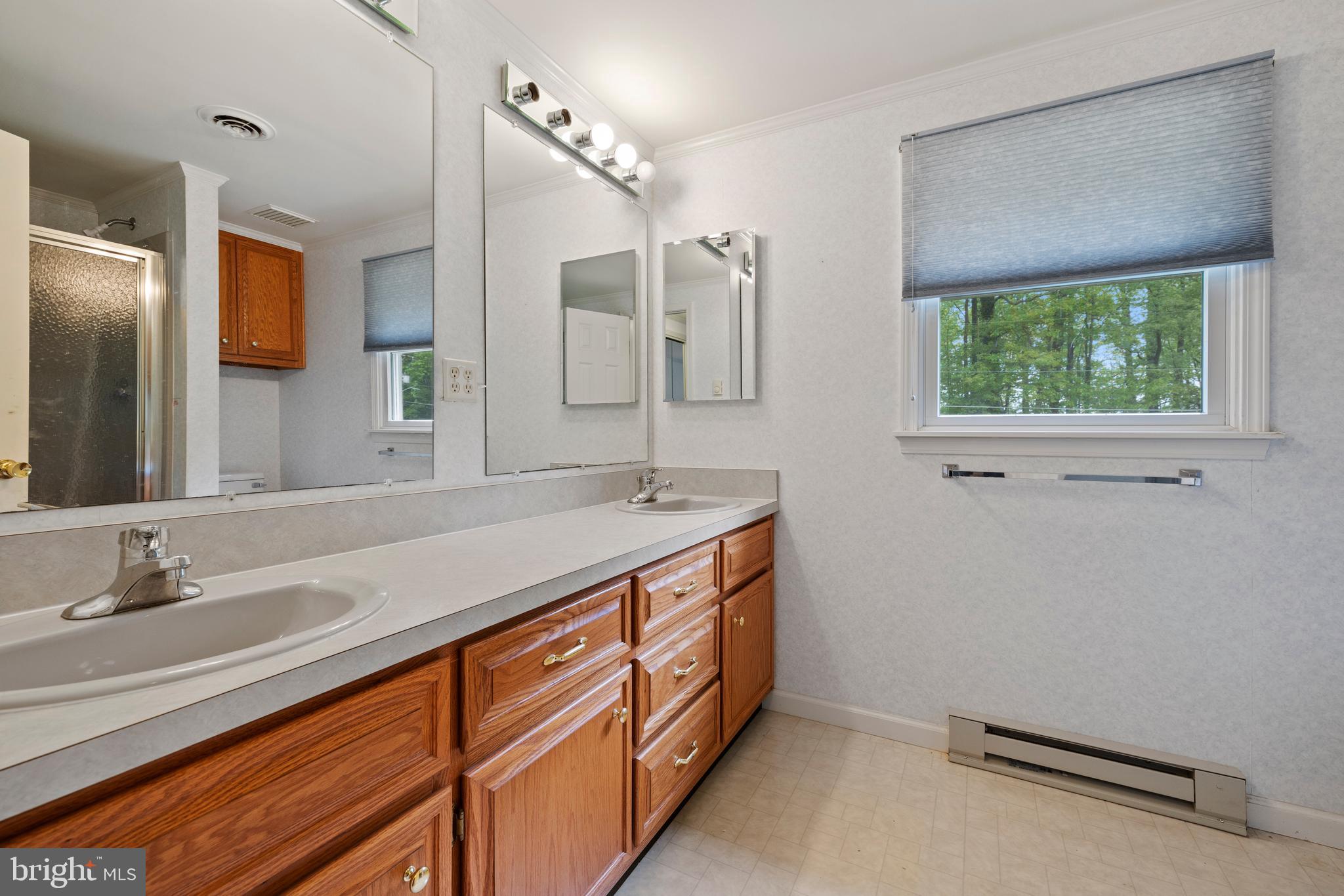2229 Seneca Road Essex, MD 21221 - Photo 23 of 40 Primary Bath