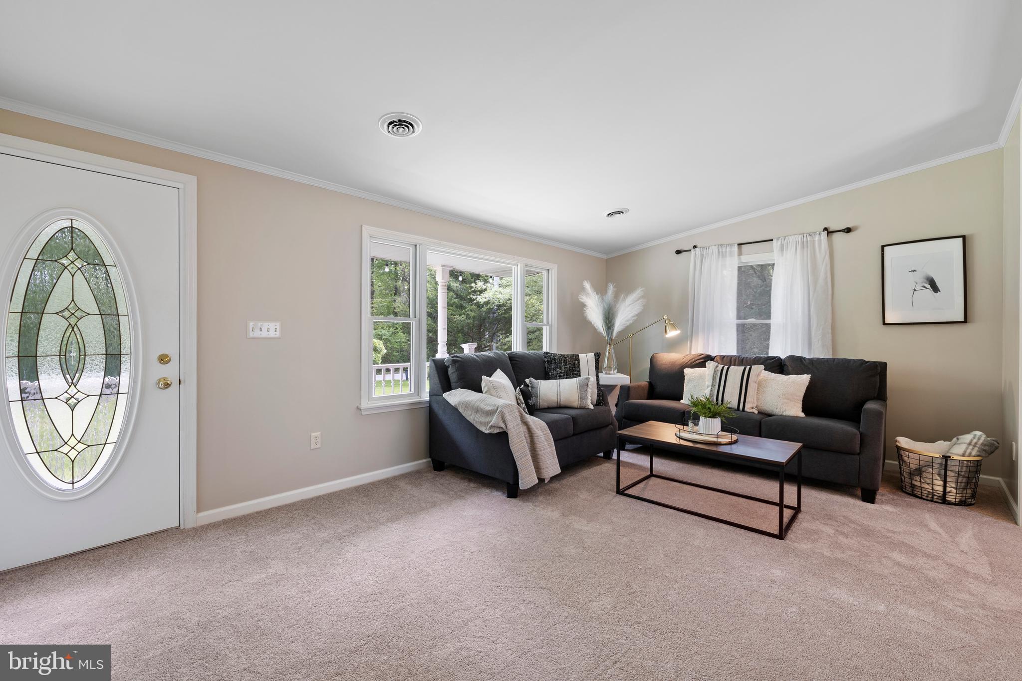 Fresh Paint and Carpet